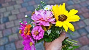 friendship day flowers