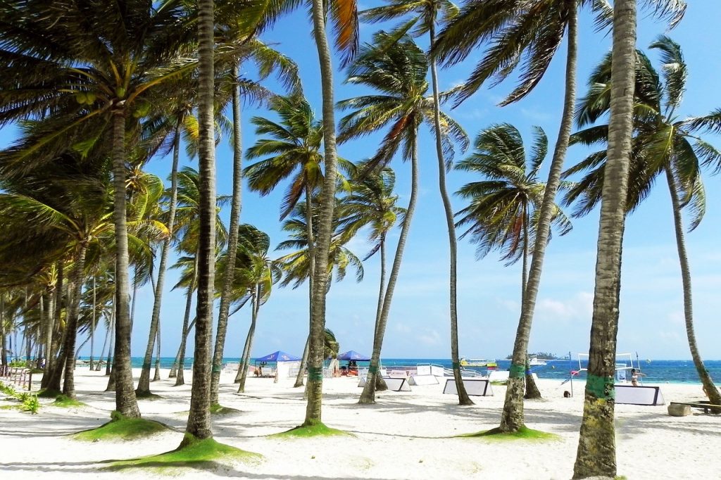 Sunny Trip to Miami 5 Valuable Tips for Travelers