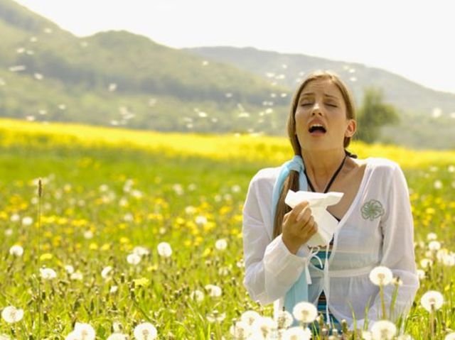Types of Allergies and its treatments