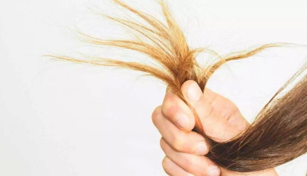 Protein is considered an important ingredient for hair, skin and nails. If your body lacks protein, it will make your nails, hair and skin dry and dry.  Experts say hair loss can also be related to protein deficiency.