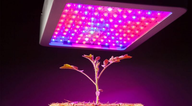 Detailed overview on appropriate color spectrum of LED grow lights for your plants