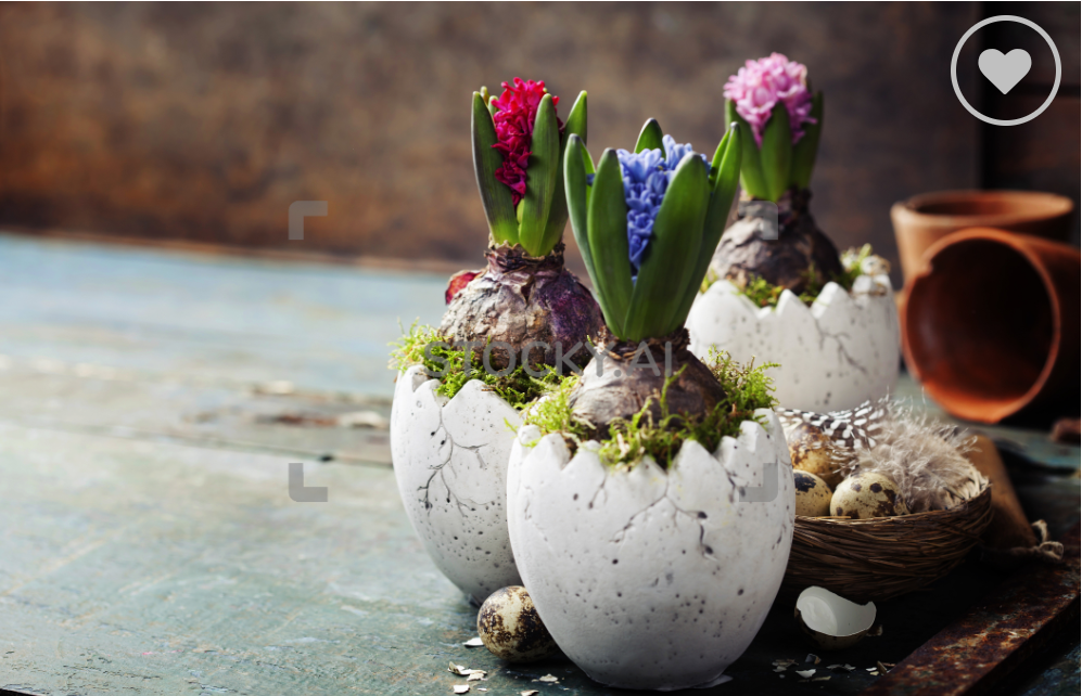 Hyacinth plant - Homemade Easter basket