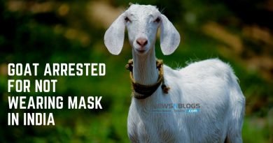 goat arrested for not wearing mask in India