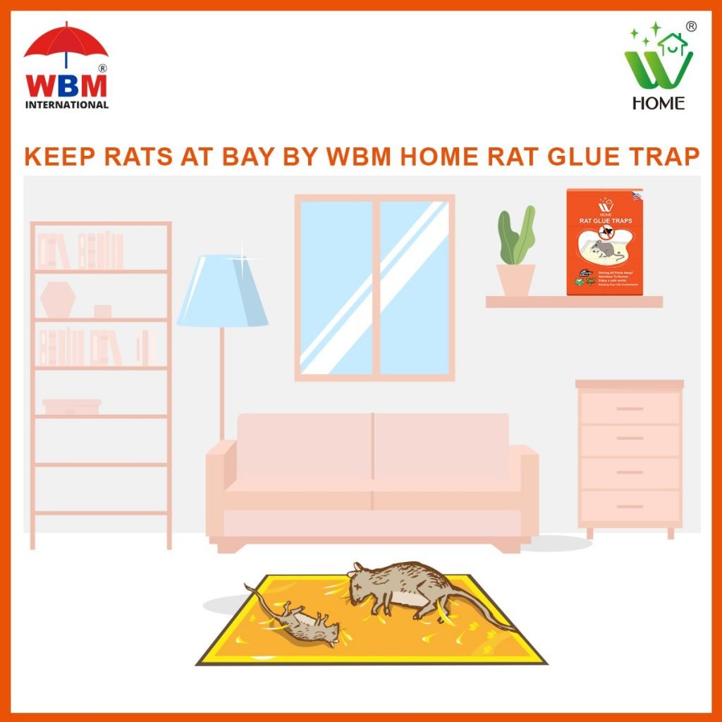 Keep rats at bay by WBM home Rat glue traps