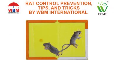 RAT CONTROL PREVENTION, TIPS, AND TRICKS BY WBM INTERNATIONAL