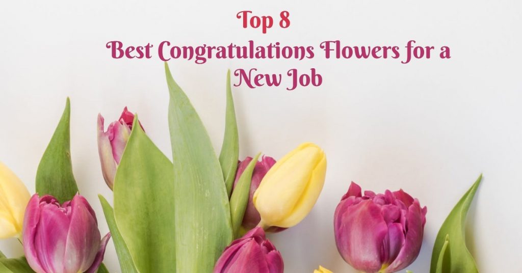 Top 8 Best Congratulations Flowers for a New Job
