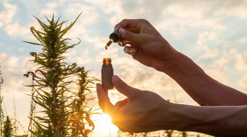 Benefits and side effects of using CBD Oils