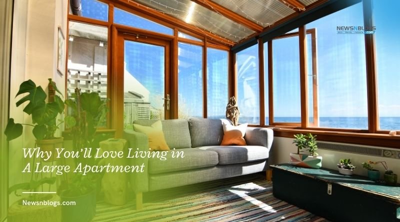 Why You’ll Love Living in A Large Apartment