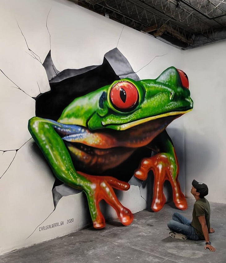 Frog 3D Painting by Carlos Alberto GH