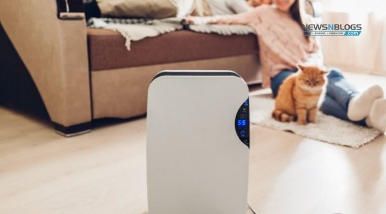 Hepa air purifier guide and maintenance tips