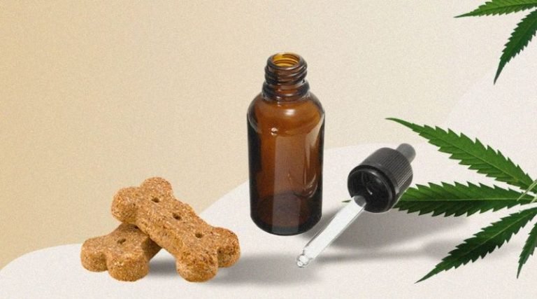 Pet Care and Wellness on Pet CBD Website