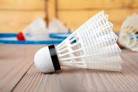 Did you want to know everything about a badminton shuttlecock?