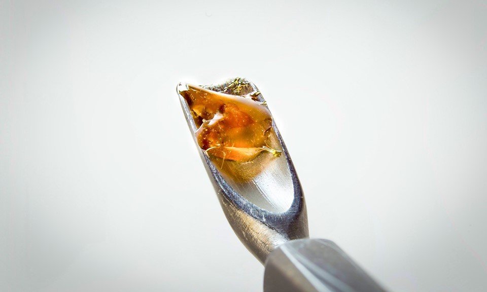 A Guide to Solventless Concentrates