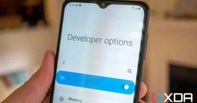 6 Advantages of the Developer Options on Android 13
