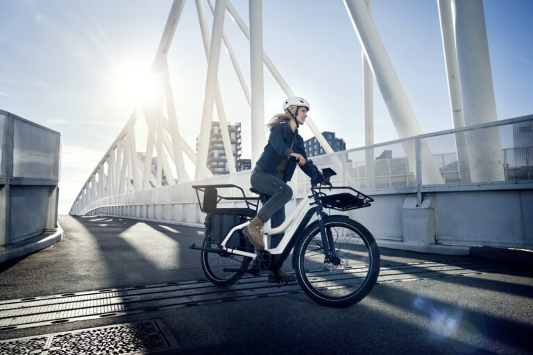 electric bikes riese-muller-multicharger-mixte (1)