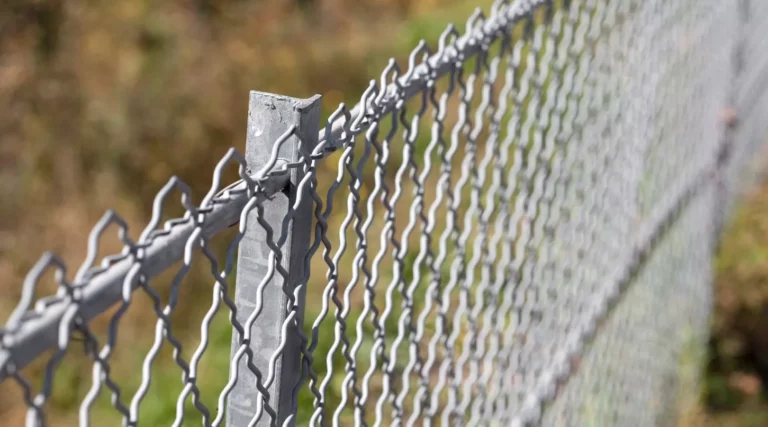 Fence Tips for a Low-Maintenance Outdoor Space