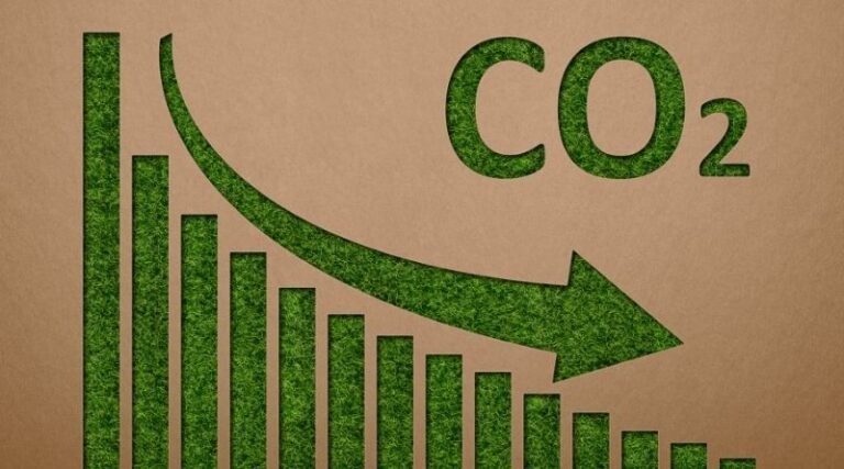Effective Strategies to Reduce Carbon Footprint in Your Company