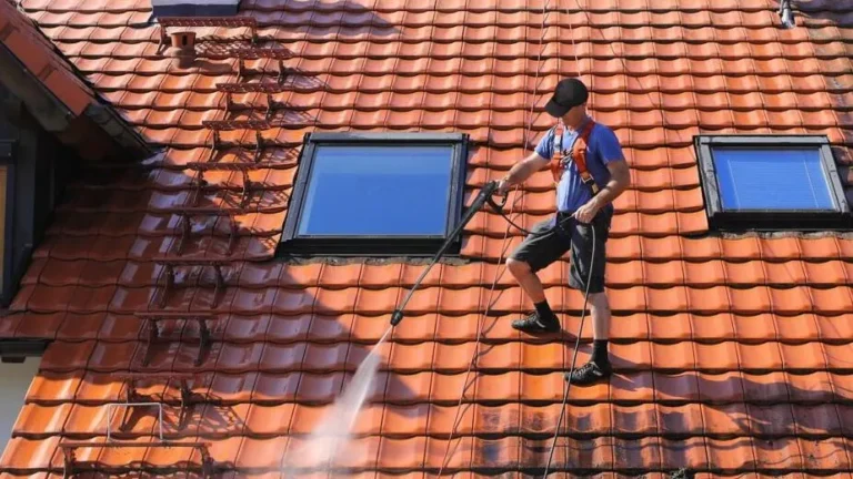 roof cleaner