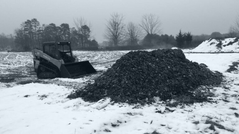 Business Waste Landscape