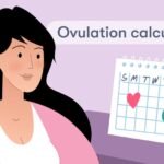 Ovulation Calculators