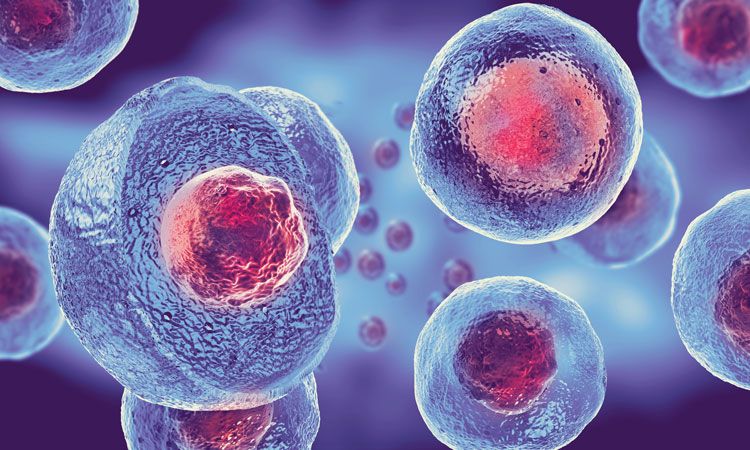 Stem Cell Therapy