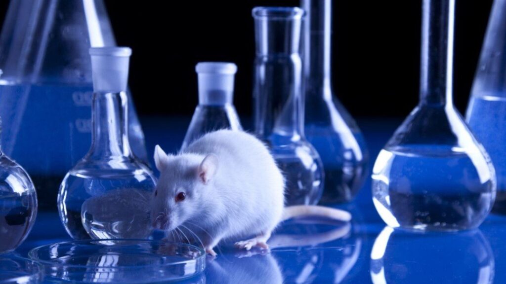 Toxicity Testing