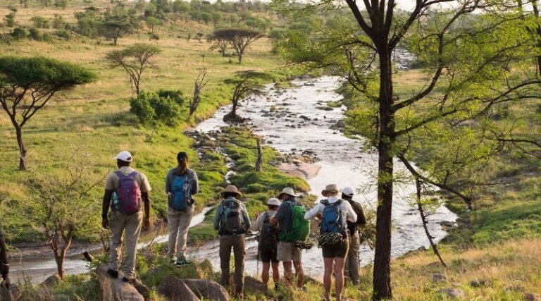 Preserving Nature Through Luxury Safaris