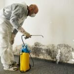 mold removal