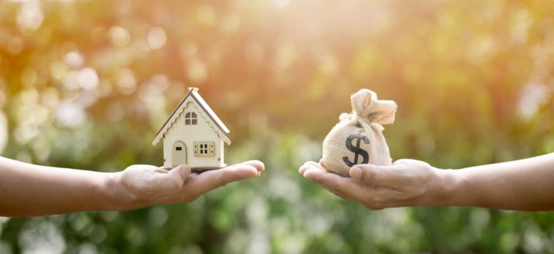 property settlement