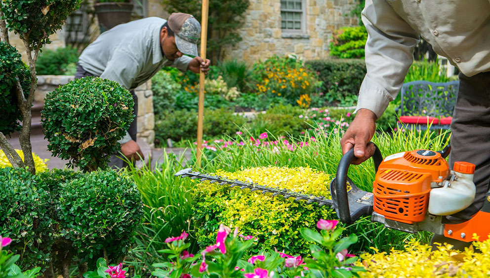 Landscape Maintenance