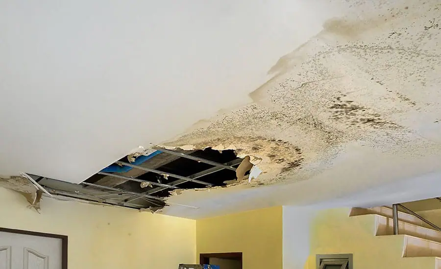 Water Damage