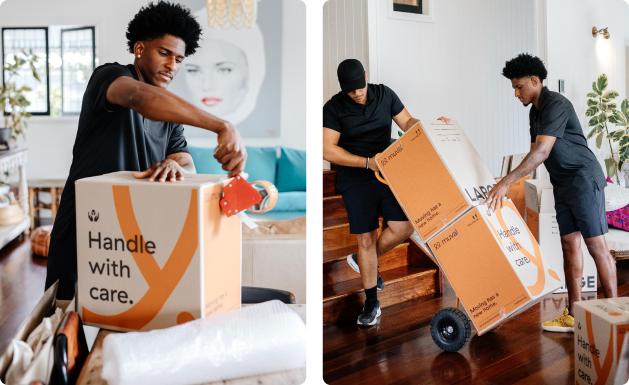 Removalists