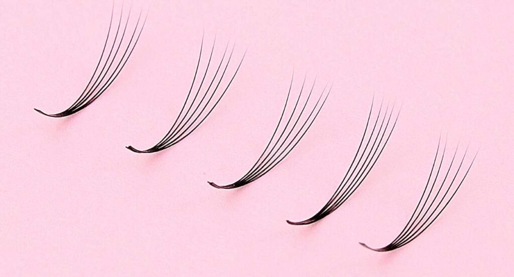 Lash Fans