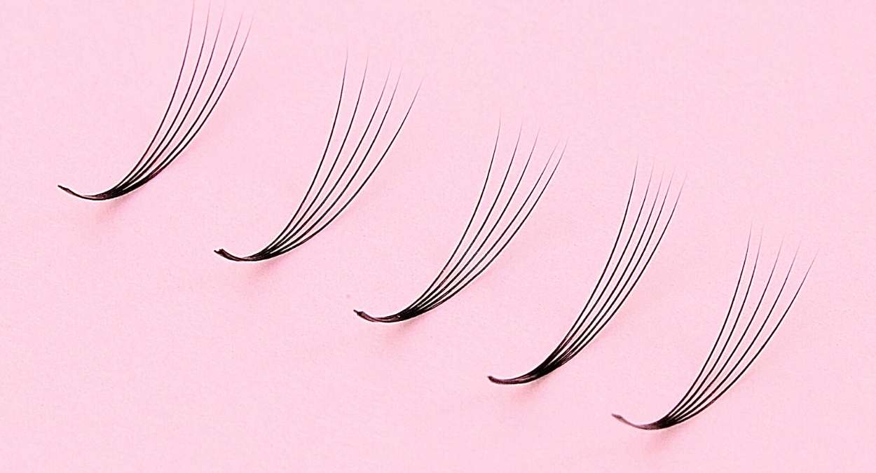 Lash Fans
