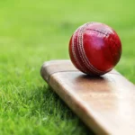 cricket