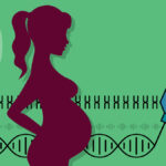 Prenatal Genetic Testing