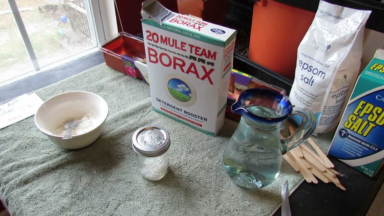 Borax and sugar